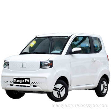 New Energy China Electric Vehicle 4-wheel 4-seat adult driving mini small household electric vehicle 2022 new model for sale